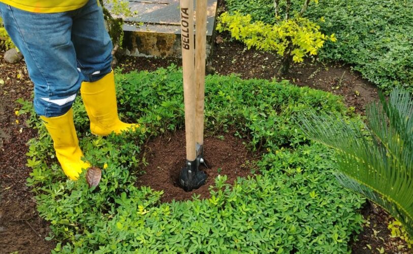 servicios-profesionales