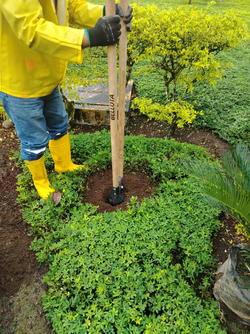 servicios-profesionales